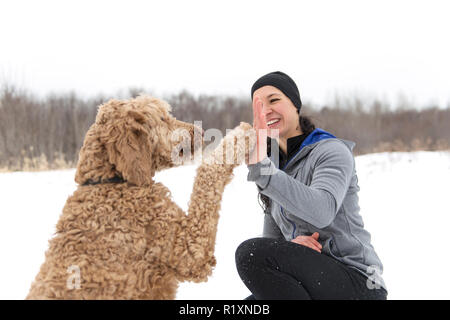 Eine Frau mit goldendoodle Wintersaison Stockfoto