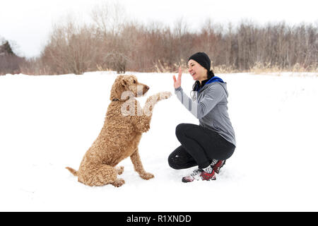 Eine Frau mit goldendoodle Wintersaison Stockfoto