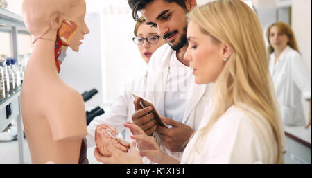 Studenten der Medizin untersuchen anatomische Modell im Klassenzimmer Stockfoto