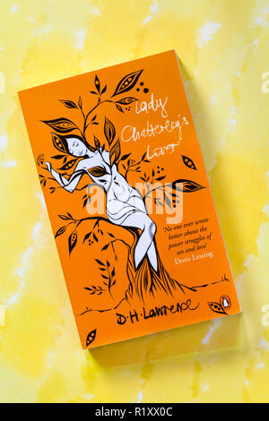 Lady Chatterley Liebhaber Taschenbuch von D H Lawrence Stockfoto