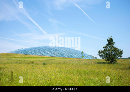 Dome Glas dach der Großen Gewächshaus des Nationalen Botanischen Garten von Wales, in Carmarthenshire, Großbritannien Stockfoto