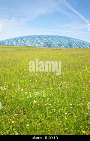Dome Glas dach der Großen Gewächshaus des Nationalen Botanischen Garten von Wales und wildflower Meadow in Carmarthenshire, Großbritannien Stockfoto