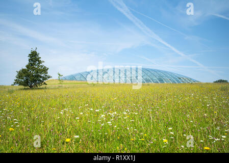 Dome Glas dach der Großen Gewächshaus des Nationalen Botanischen Garten von Wales und wildflower Meadow in Carmarthenshire, Großbritannien Stockfoto