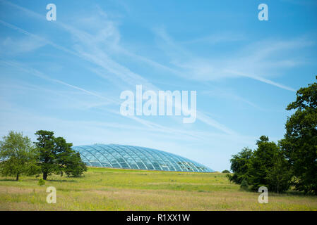 Dome Glas dach der Großen Gewächshaus des Nationalen Botanischen Garten von Wales Carmarthenshire, Großbritannien Stockfoto