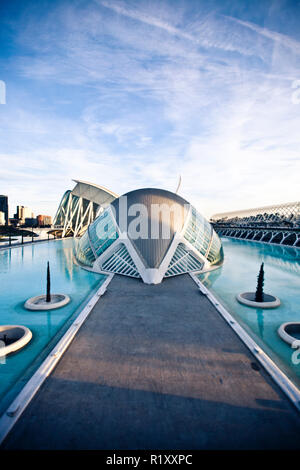 Valencia, Spanien - 14. Dezember 2012. L'Oceanografic ist das größte Aquarium in Europa im Osten der Stadt Valencia, Spanien. Das spektakuläre Gebäude ist von den Architekten Felix Candela entworfen und die strukturelle Ingenieure Alberto Domingo und Carlos Lazaro. Stockfoto