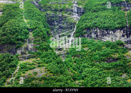 Kleine Wasserfälle in den Wäldern, Norwegen Stockfoto