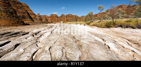 Kimberley, Australien - 15. September 2008: Der Blick auf den Bienenstock-förmigen Türme aus Sandstein im Purnululu National Park. Stockfoto