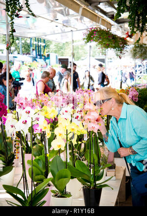 Frau im mittleren Alter riechende Orchidee auf Blumenmarkt voll von Leuten, die nach Garten, Pflanzen, Gent, Blumenmarkt suchen, Stockfoto