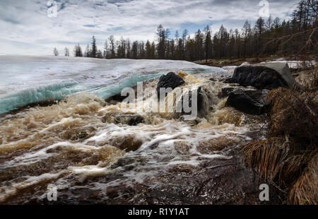 Schnelle Spring Creek in Jakutien, Russland Stockfoto