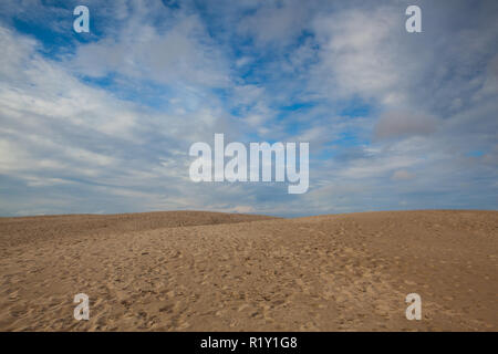 Rabjerg Mile ist eine Migration von Coastal dune zwischen Skagen und Frederikshavn, Dänemark. Es ist das größte bewegliche Dune im Norden Europas mit einer Fläche von ein Stockfoto