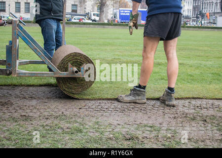 London, Großbritannien. 15. November 2018. Gärtner nacharbeiten Parliament Square mit einem neuen Rasen wie das alte Gras getragen hatte sich durch ein trockener heißer Sommer Credit: Amer ghazzal/Alamy leben Nachrichten Stockfoto