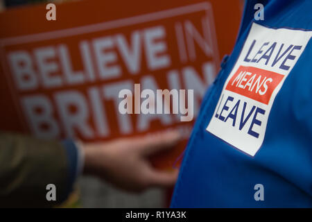 London UK. 15. Nov 2018. Pro-Brexit Demonstrator hält eine Plakette, die das Parlamentsgebäude. Credit: Thabo Jaiyesimi/Alamy leben Nachrichten Stockfoto