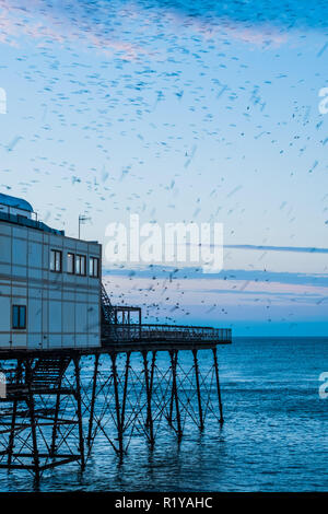 Aberystwyth Wales UK, 15/11/2018. UK Wetter: Die unscharfen Formen einige der Tausende von Staren, wie Sie Schlag nach unten lautstark für die Nacht auf den Wald von Gusseisen Beine unter Victorian seaside Pier des Aberystwyth zu Roost. Aberystwyth ist einer der wenigen städtischen Quartieren im Land und zieht Menschen aus der ganzen UK, Zeuge der spektakulären nächtlichen zeigt. Photo credit Keith Morris/Alamy leben Nachrichten Stockfoto