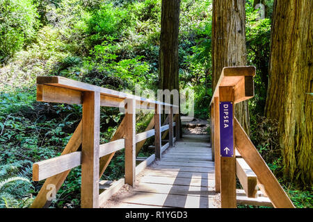 Holzbrücke über die Dipsea Trail, Mount Tamalpais State Park, Marin County, North San Francisco Bay Area, Kalifornien Stockfoto