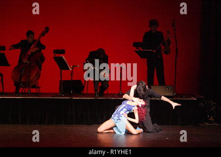 Tango Fire Dance Performance in Sydney, Australien. Stockfoto