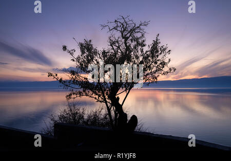 Schönen Herbst Umrisse der Baum mit Sonnenuntergang lila Himmel und wispy Wolken am See von Ohrid, Mazedonien, flachen See Wirkung vom langen Belichtung zentriert Stockfoto