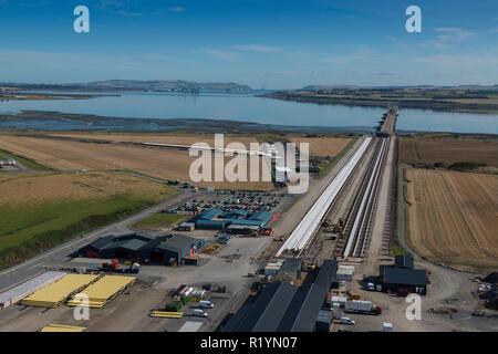 Aberdeen Bay Tümmler Stockfoto