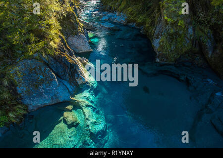 Berühmte turist Anziehung - Blue Pools, Haast Pass, Neuseeland, Südinsel Stockfoto