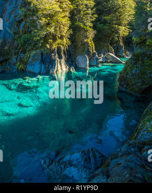Berühmte turist Anziehung - Blue Pools, Haast Pass, Neuseeland, Südinsel Stockfoto