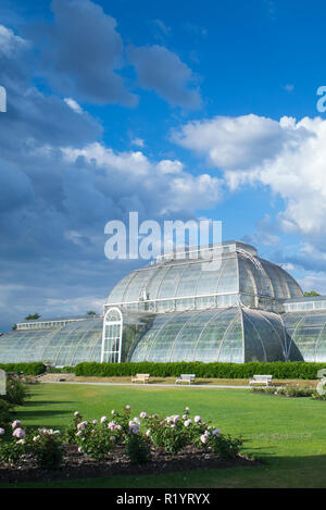 Die ikonischen gemäßigt Haus mit über 10.000 Pflanzen in der Welt größte skulpturale viktorianischen Gewächshaus an der Königlichen Botanischen Gärten in Kew, Engla Stockfoto