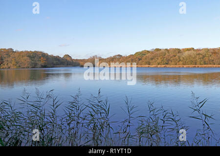 Ein Blick auf Ormsby wenig Breit im Herbst auf der Norfolk Broads von Fleggburgh, Norfolk, England, Vereinigtes Königreich, Europa. Stockfoto