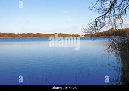 Ein Blick auf Ormsby wenig Breit im Herbst auf der Norfolk Broads von Fleggburgh, Norfolk, England, Vereinigtes Königreich, Europa. Stockfoto