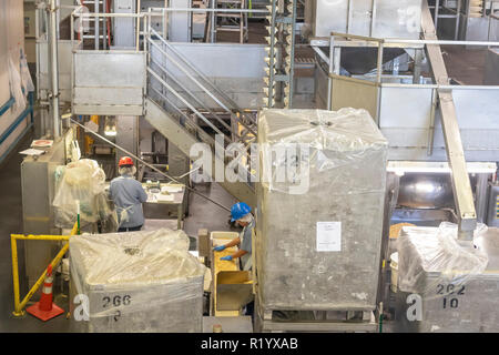 Hilo, Hawaii - ein Arbeitnehmer Prozesse Macadamianüsse im Mauna Loa Macadamianuss Fabrik. Stockfoto