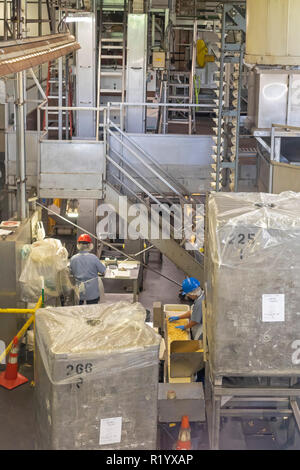 Hilo, Hawaii - Arbeitnehmer Prozess Macadamianüsse im Mauna Loa Macadamianuss Fabrik. Stockfoto