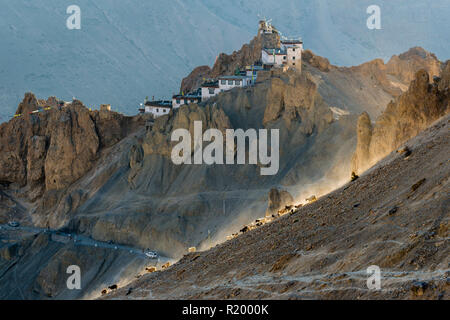 Eine Herde Schafe auf einem Hang im letzten Licht des Tages. Dankhar Gompa, ein tibetisch-buddhistischen Kloster, im Hintergrund Stockfoto