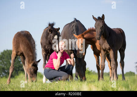 Warmblut. Lachende Frau mit verspielten Fohlen auf der Weide. Deutschland Stockfoto