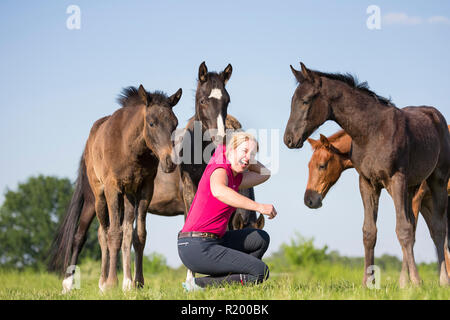 Warmblut. Lachende Frau mit verspielten Fohlen auf der Weide. Deutschland Stockfoto