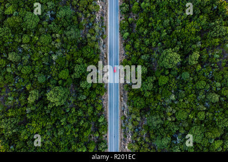 Luftaufnahme von einem roten Auto, entlang einer Straße durch einen grünen Wald flankiert wird. Stockfoto