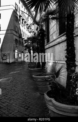 Alte Gebäude in einer Gasse der Altstadt Roms, in Schwarz und Weiß Stockfoto