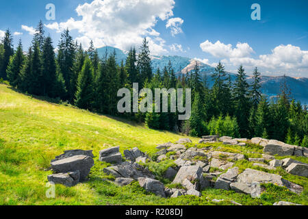 Alpine Sommer Landschaft Composite. Felsformation in der Nähe des Waldes auf einem grasbewachsenen Hügel Fichte. Berg mit Schnee oben in der Ferne. ruhige Landschaft mit Stockfoto