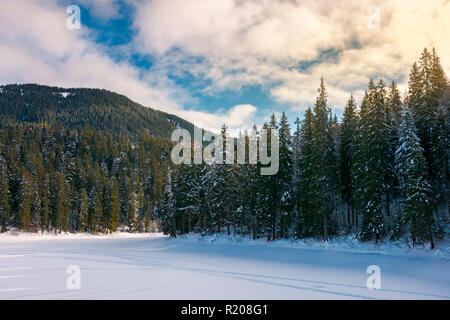Schöne Winterlandschaft in den Bergen. gefrorenen See kauerte mit Schnee. Bäumen am Ufer Fichte. Wunderbares sonniges Wetter Stockfoto