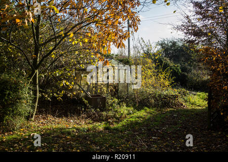 Run down Gewächshaus in einem alten englischen Garten auf einem hellen, sonnigen, herbstlichen Tag. Stockfoto