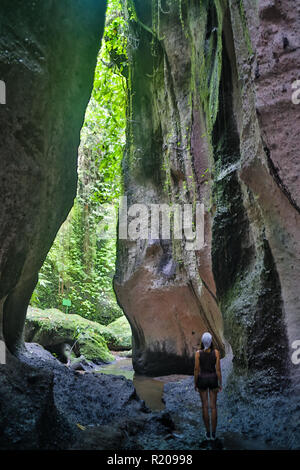 Aktive Frau Wandern durch malerische dichten Nebel Wald mit Rock Canyon und Baum mit Rucksack, auf die Spur. Stockfoto