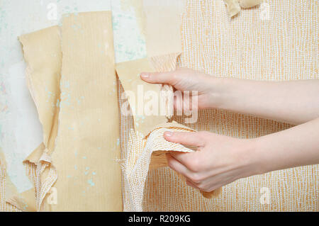 Die Hände des Mädchens. Entfernt die Tapete von der Wand. Close-up. Stockfoto