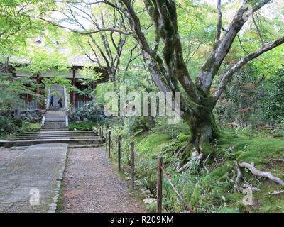 Die Gärten und die Pagoden von Jojakkoji buddhistischen Tempel bieten eine ruhige Erholung von den Touristenmassen im Stadtteil Arashiyama, Kyoto. Stockfoto