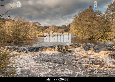 North Pennines AONB Landschaft, Kaskade auf dem Fluss T-Stücke von den Pennine Way zwischen Low und High Force Wasserfälle im Herbst Sonnenschein und ein dunkler Himmel Stockfoto