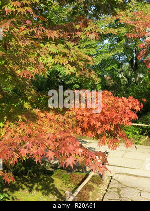 Die Gärten und die Pagoden von Jojakkoji buddhistischen Tempel bieten eine ruhige Erholung von den Touristenmassen im Stadtteil Arashiyama, Kyoto. Stockfoto