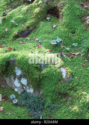 Die Gärten und die Pagoden von Jojakkoji buddhistischen Tempel bieten eine ruhige Erholung von den Touristenmassen im Stadtteil Arashiyama, Kyoto. Stockfoto