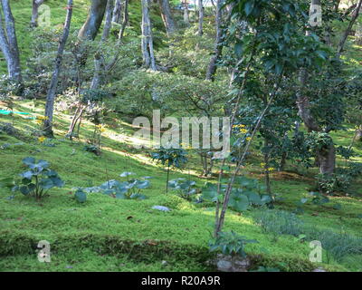 Die Gärten und die Pagoden von Jojakkoji buddhistischen Tempel bieten eine ruhige Erholung von den Touristenmassen im Stadtteil Arashiyama, Kyoto. Stockfoto