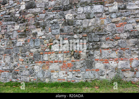 Die grüne Kriechgang Pflanze mit kleinen gelben Blume auf grunge altes Haus Wand Stockfoto