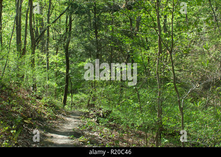 Trail nach der Wilderness Road und des Kriegers Weg in Cumberland Gap. Digitale Fotografie Stockfoto