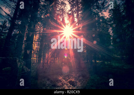 Sonnige Herbst Wald Blick von Kuopio, Finnland. Stockfoto