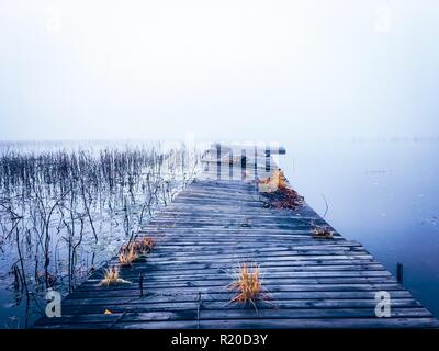 Nebliger herbst Seeblick von Kuopio, Finnland. Stockfoto