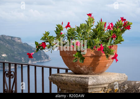 Ravello, Italien. Blick auf das Mittelmeer mit roten Blumen im Vordergrund. Foto von der Terrasse der Unendlichkeit in den Gärten von Villa Ci berücksichtigt Stockfoto