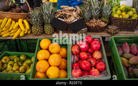 Farbige Darstellung verschiedener Früchte auf einem lokalen Markt in Berlin Deutschland, Tapeten Stockfoto