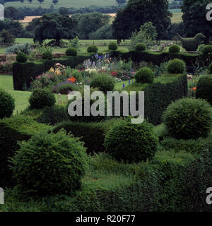 Hohe abgeschnittene Hecken und Formgehölze in großen Country Garden Stockfoto